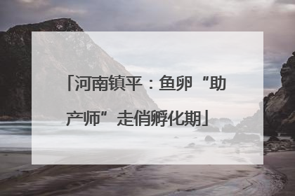 河南镇平：鱼卵“助产师”走俏孵化期
