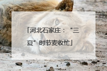 河北石家庄：“三夏”时节麦收忙