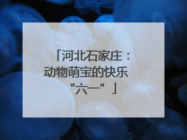 河北石家庄：动物萌宝的快乐“六一”