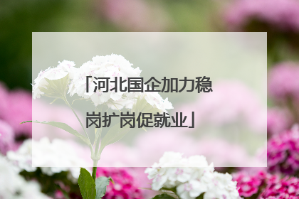 河北国企加力稳岗扩岗促就业