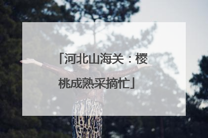 河北山海关：樱桃成熟采摘忙
