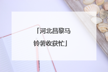 河北昌黎马铃薯收获忙