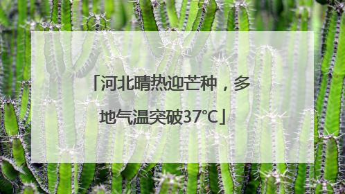 河北晴热迎芒种，多地气温突破37℃