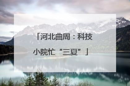 河北曲周：科技小院忙“三夏”