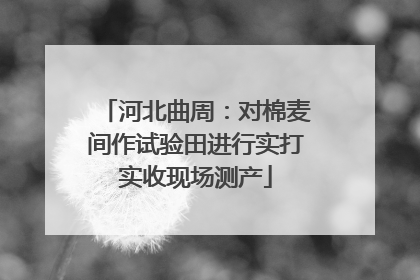 河北曲周：对棉麦间作试验田进行实打实收现场测产