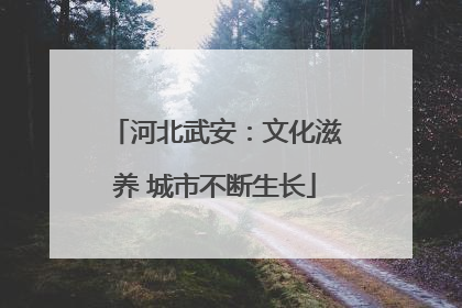 河北武安：文化滋养 城市不断生长