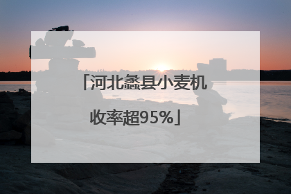 河北蠡县小麦机收率超95%