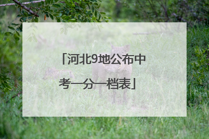 河北9地公布中考一分一档表