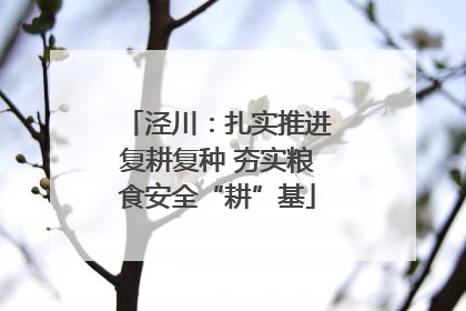 泾川：扎实推进复耕复种 夯实粮食安全“耕”基