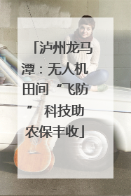 泸州龙马潭：无人机田间“飞防” 科技助农保丰收
