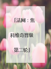 法网：焦科维奇晋级第二轮