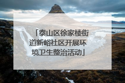 泰山区徐家楼街道新峪社区开展环境卫生整治活动