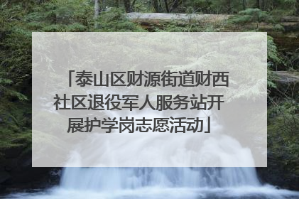 泰山区财源街道财西社区退役军人服务站开展护学岗志愿活动