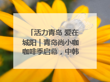 活力青岛 爱在城阳｜青岛尚小咖咖啡季启幕，中韩消费新场景点燃夏日热情