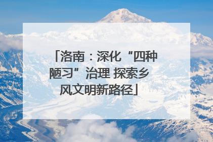 洛南：深化“四种陋习”治理 探索乡风文明新路径