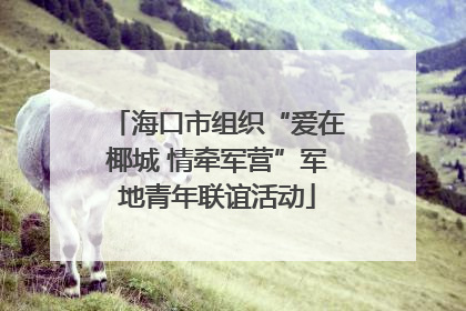 海口市组织“爱在椰城 情牵军营”军地青年联谊活动