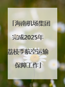 海南机场集团完成2025年荔枝季航空运输保障工作