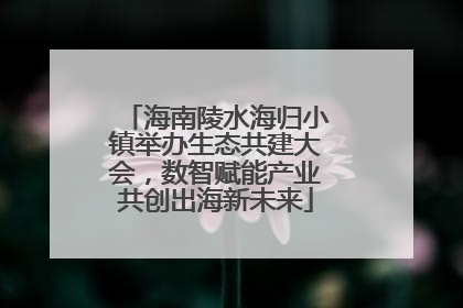 海南陵水海归小镇举办生态共建大会，数智赋能产业共创出海新未来