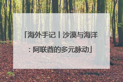 海外手记丨沙漠与海洋：阿联酋的多元脉动