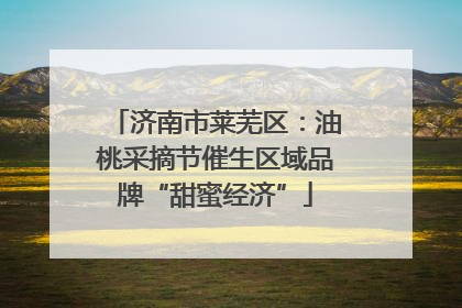济南市莱芜区：油桃采摘节催生区域品牌“甜蜜经济”
