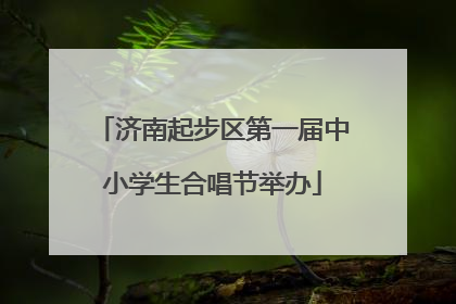 济南起步区第一届中小学生合唱节举办