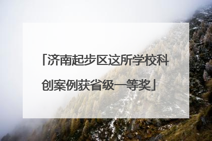 济南起步区这所学校科创案例获省级一等奖