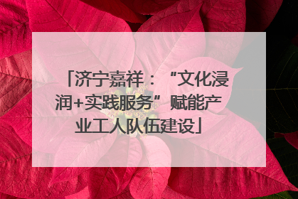 济宁嘉祥：“文化浸润+实践服务”赋能产业工人队伍建设