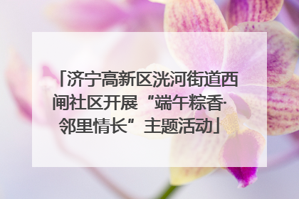 济宁高新区洸河街道西闸社区开展“端午粽香·邻里情长”主题活动