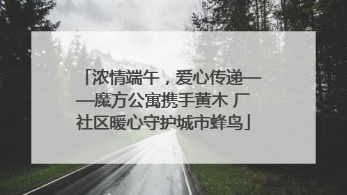 浓情端午，爱心传递——魔方公寓携手黄木 厂社区暖心守护城市蜂鸟