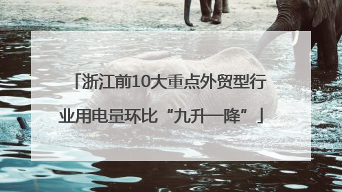 浙江前10大重点外贸型行业用电量环比“九升一降”