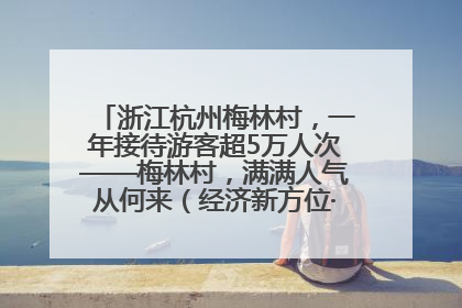 浙江杭州梅林村，一年接待游客超5万人次——梅林村，满满人气从何来（经济新方位·农村消费观察）