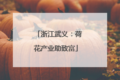 浙江武义：荷花产业助致富