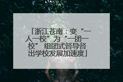浙江苍南：变“一人一校”为“一团一校” 组团式督导督出学校发展加速度