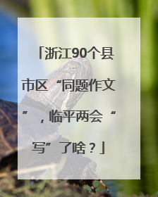 浙江90个县市区“同题作文”，临平两会“写”了啥？