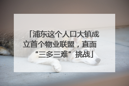 浦东这个人口大镇成立首个物业联盟，直面“三多三难”挑战