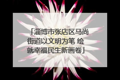 淄博市张店区马尚街道以文明为笔 绘就幸福民生新画卷