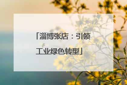 淄博张店：引领工业绿色转型