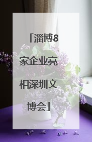淄博8家企业亮相深圳文博会