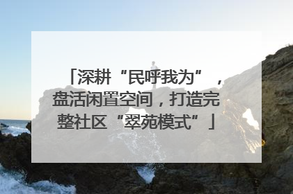 深耕“民呼我为”，盘活闲置空间，打造完整社区“翠苑模式”