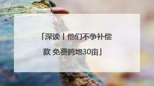 深读丨他们不争补偿款 免费腾地30亩