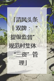 清风头条丨双牌：“提级监督”规范村集体“三资”管理
