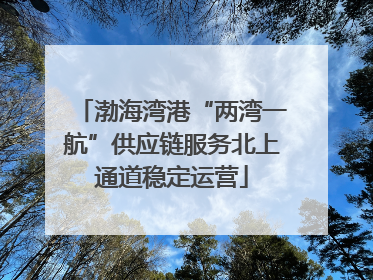 渤海湾港“两湾一航”供应链服务北上通道稳定运营