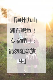 温州九山湖有鳄鱼！专家呼吁：请勿随意放生