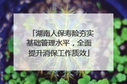 湖南人保寿险夯实基础管理水平，全面提升消保工作质效