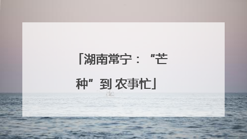 湖南常宁：“芒种”到 农事忙