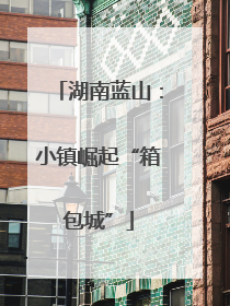 湖南蓝山：小镇崛起“箱包城”