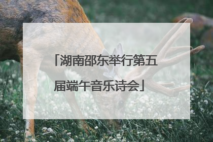 湖南邵东举行第五届端午音乐诗会