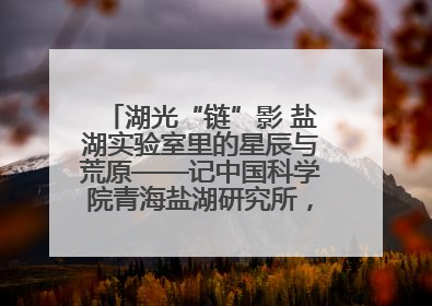 湖光“链”影 盐湖实验室里的星辰与荒原——记中国科学院青海盐湖研究所，盐湖资源化学实验室党总支书记、副主任刘忠