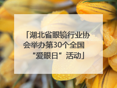 湖北省眼镜行业协会举办第30个全国“爱眼日”活动