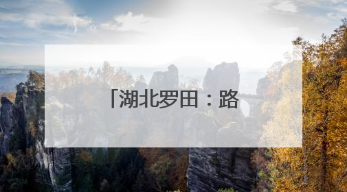 湖北罗田：路畅景美乡村兴